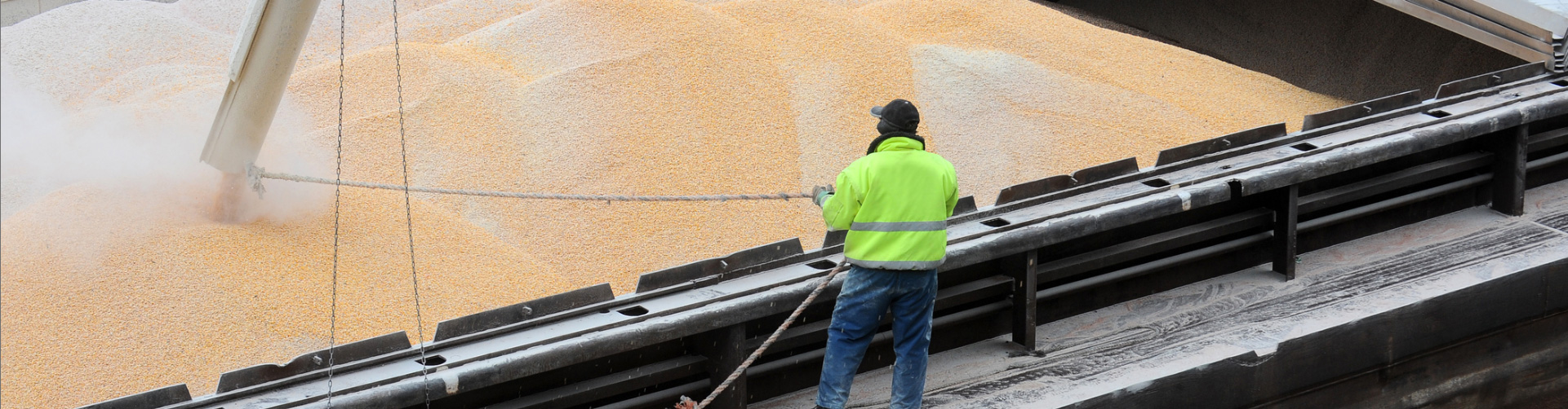 Direct Ship Program Direct Ship Program - Bunge