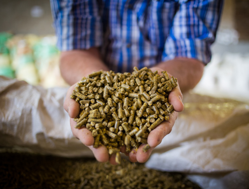 ingredient-buyers-grain-marketing-easy-for-ingredient-buyers