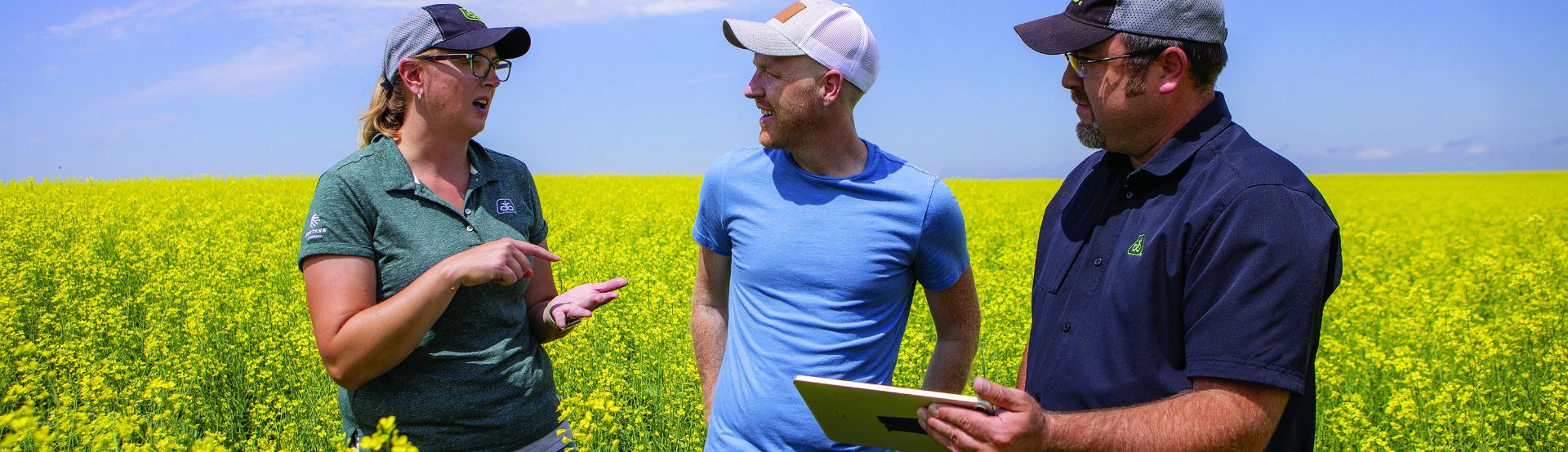 2025 26 Certified Winter Canola Program Bunge