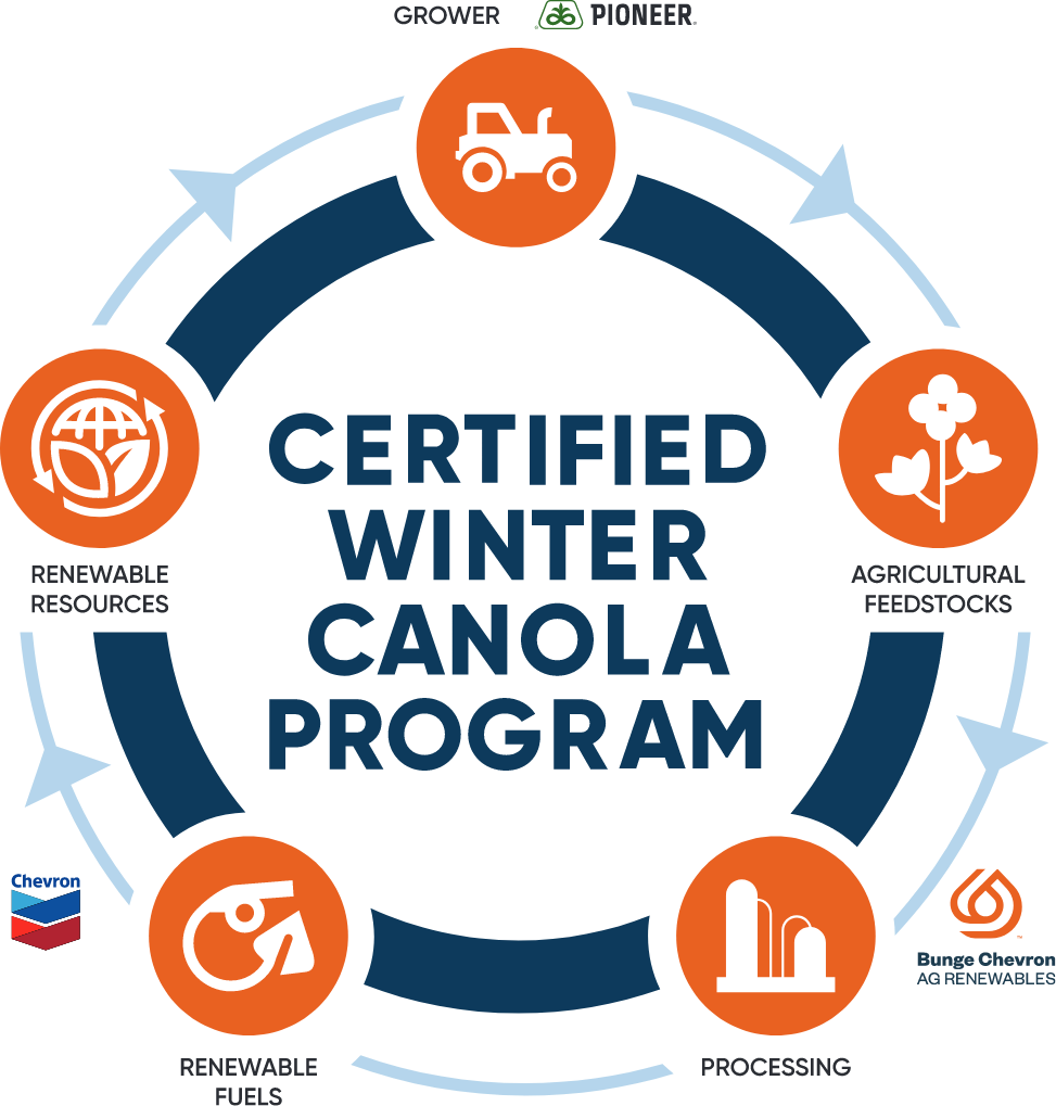 Certified Winter Canola Program cycle graphic showing grower, agricultural feedstocks, processing, renewable fuels and renewable resources